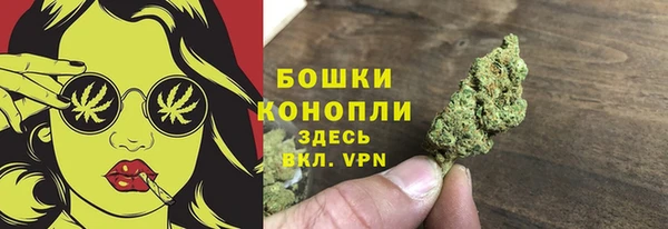 МДПВ Богданович
