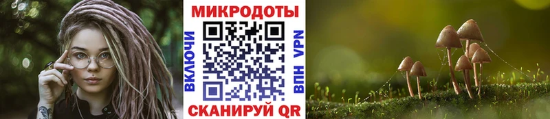 Галлюциногенные грибы мицелий  дарк нет Telegram  Богородск 